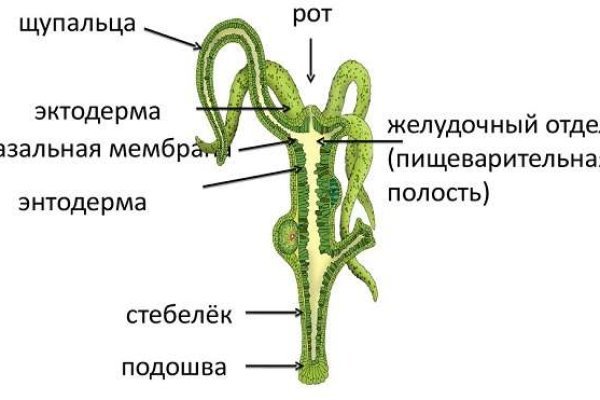 Кракен at сегодня работает ли