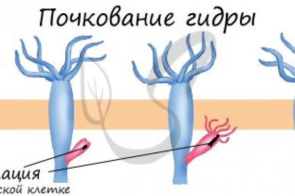 Кракен шоп это