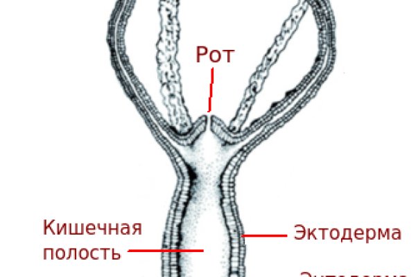 Официальная ссылка на кракен в тор